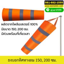 ถุงลมบอกทิศทาง